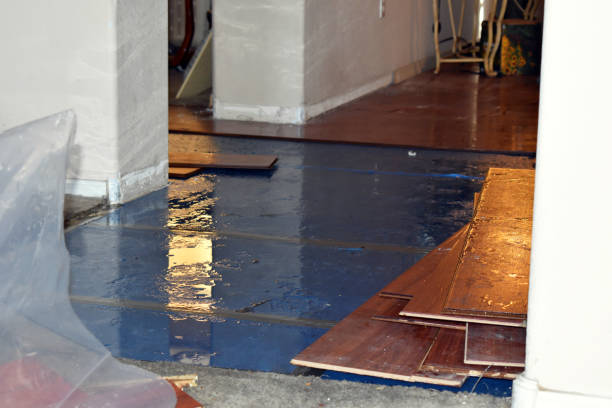 Professional Burst Pipe Cleanup technician working in O'Fallon, IL