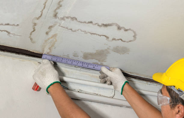 Reliable Burst Pipe Cleanup contractor in O'Fallon, IL by Local Water Damage Repair